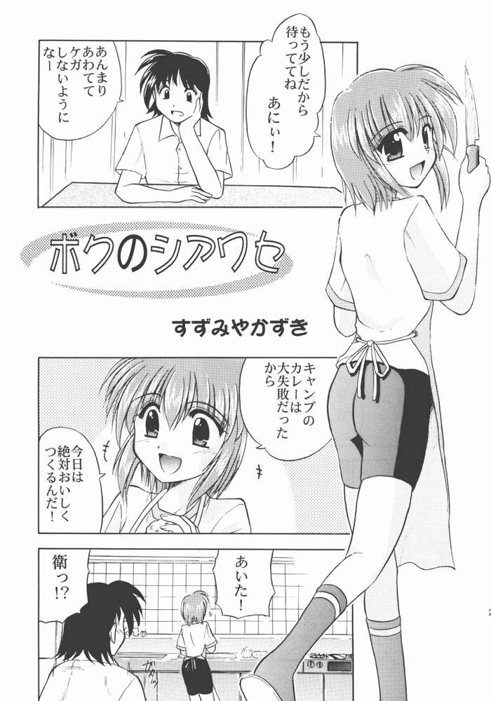 (C62) [Honyo no Uchi (Honyo, Suzumiya Kazuki)] TWINKLE TWINKLE SISTERS 4 (Sister Princess) - Page 20