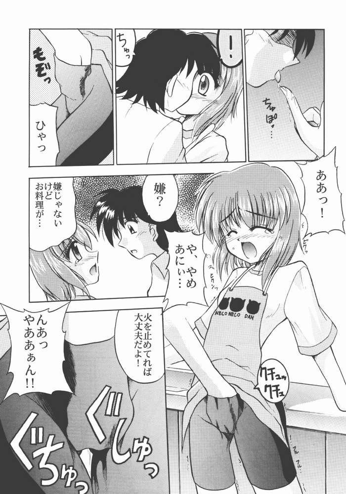 (C62) [Honyo no Uchi (Honyo, Suzumiya Kazuki)] TWINKLE TWINKLE SISTERS 4 (Sister Princess) - Page 22