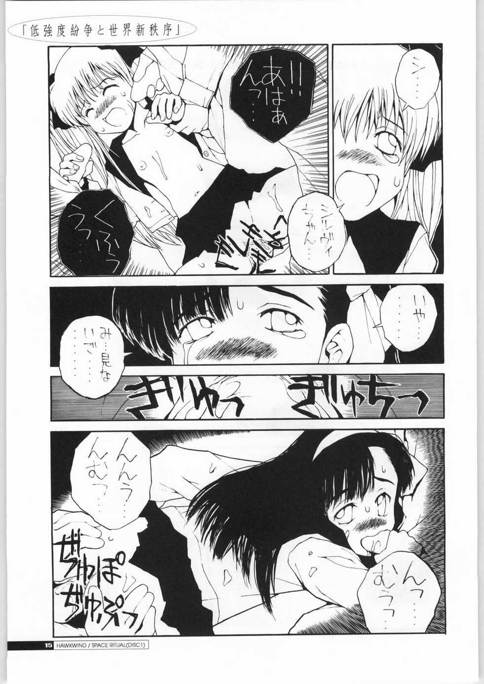 (C63) [Junk Arts (Nukiyama Gaisei)] Teikyoudo Funsou to Sekai Shin Chitsujo - Low-Intensity Conflict and World New-Order (Ground Defense Force Mao-chan) - Page 14