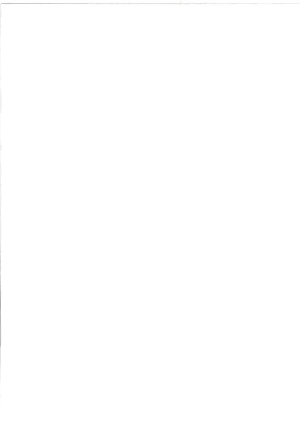 (Reitaisai 11) [IIWAKE-GAISYA (Shigemiya Kyouhei)] Nanairo to Koibito Play 4 (Touhou Project) - Page 19