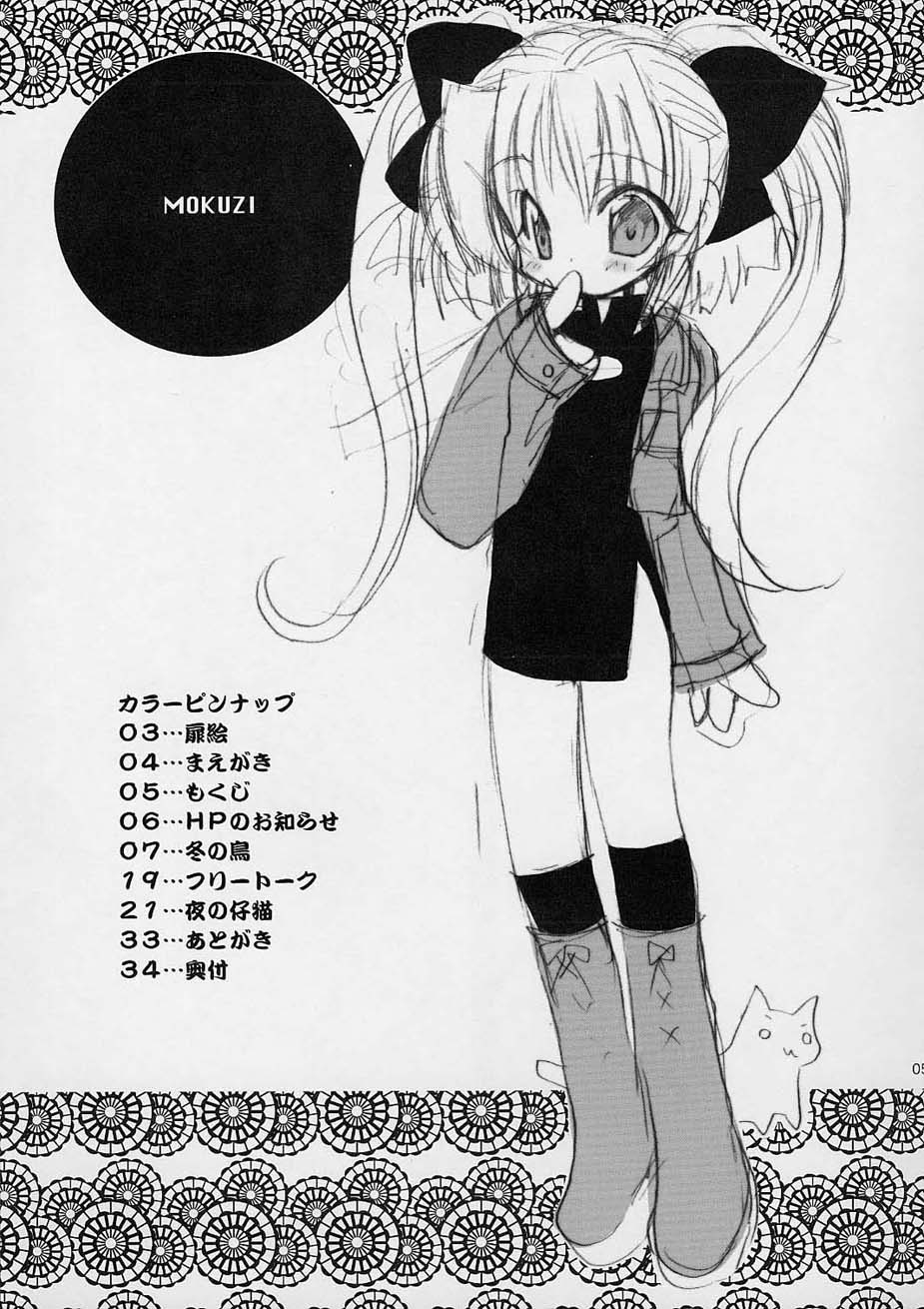 (C61) [Shishamo House (Araki Akira), Kimpotsu (Araki Kanao)] Fuyuyasumix - Page 6