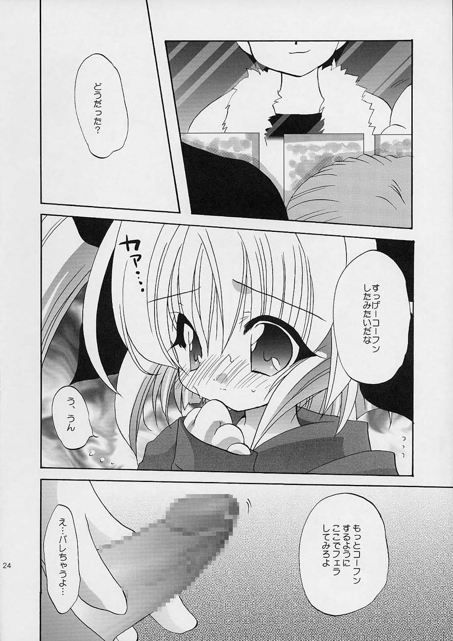 (C61) [Shishamo House (Araki Akira), Kimpotsu (Araki Kanao)] Fuyuyasumix - Page 25