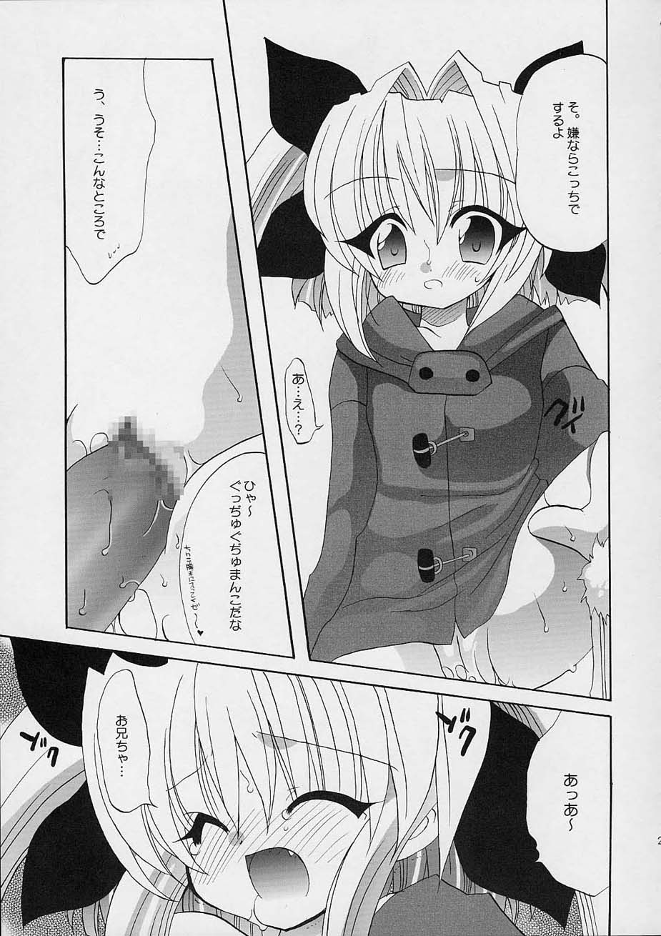 (C61) [Shishamo House (Araki Akira), Kimpotsu (Araki Kanao)] Fuyuyasumix - Page 26