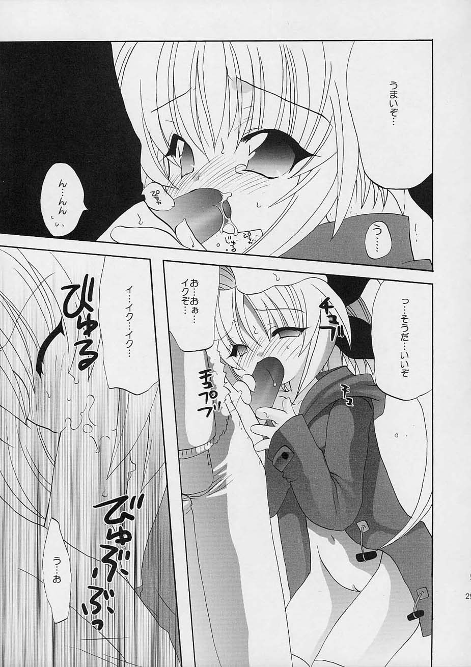 (C61) [Shishamo House (Araki Akira), Kimpotsu (Araki Kanao)] Fuyuyasumix - Page 30