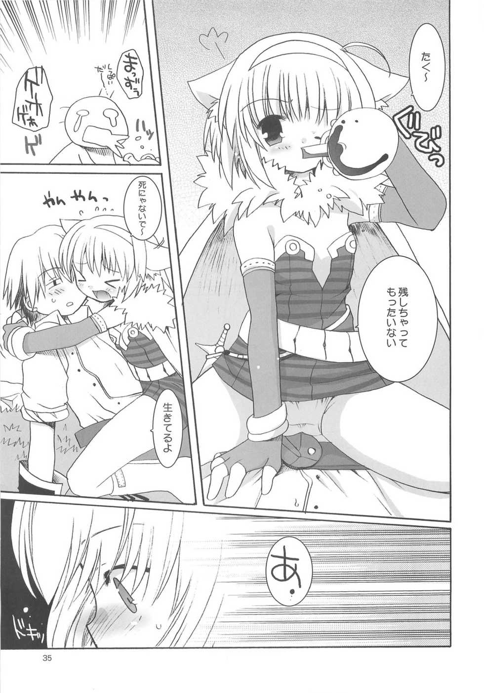 (C65) [Shishamo House (Araki Akira), Kimpotsu (Araki Kanao)] RAG-LOVE - Page 34
