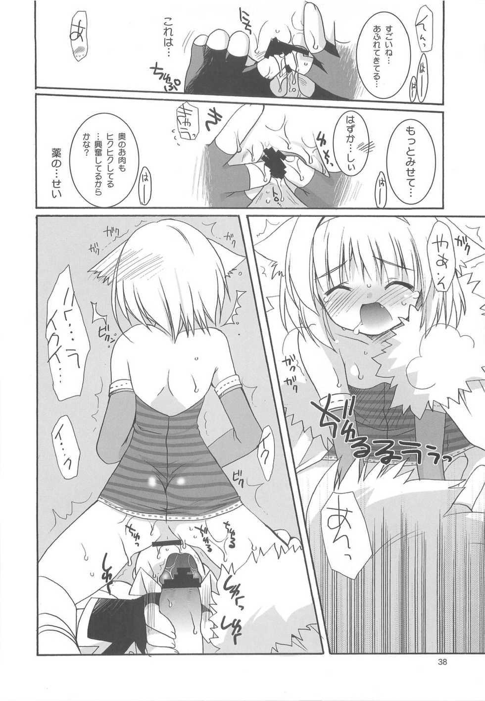 (C65) [Shishamo House (Araki Akira), Kimpotsu (Araki Kanao)] RAG-LOVE - Page 37