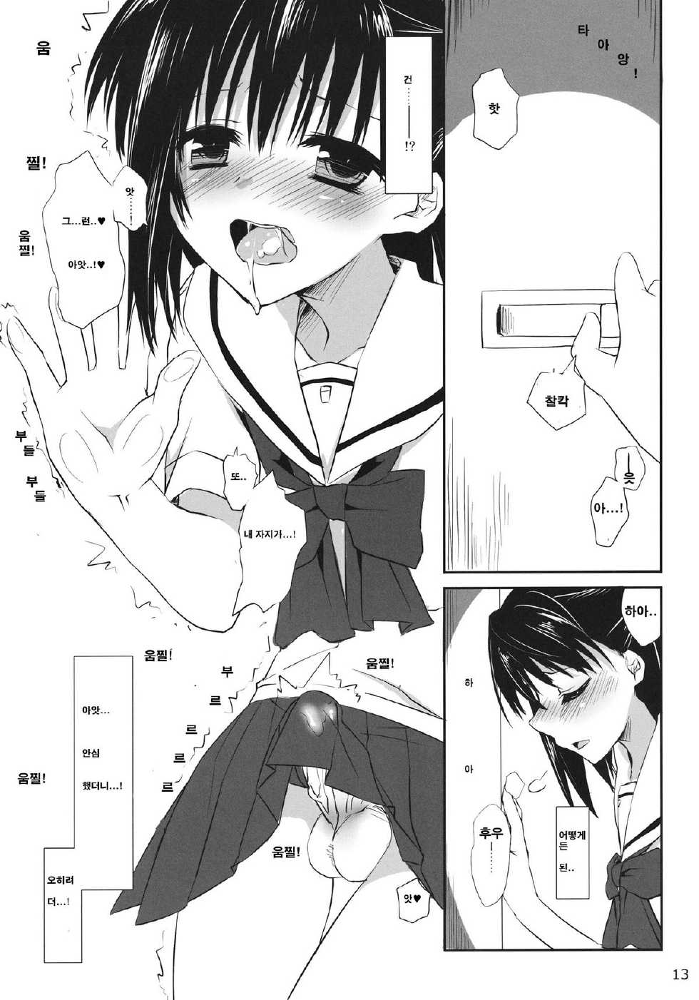 (SC51) [Kumikae DNA (Minakami Kurena)] One After Another. (Prunus Girl) [Korean] {아리아더스트} - Page 12
