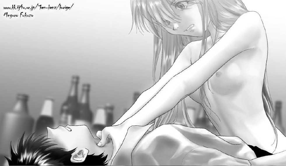 [目黒腹蔵] 過去エヴァ・同人誌『-Ｄ-総集編』挿絵 - Page 15