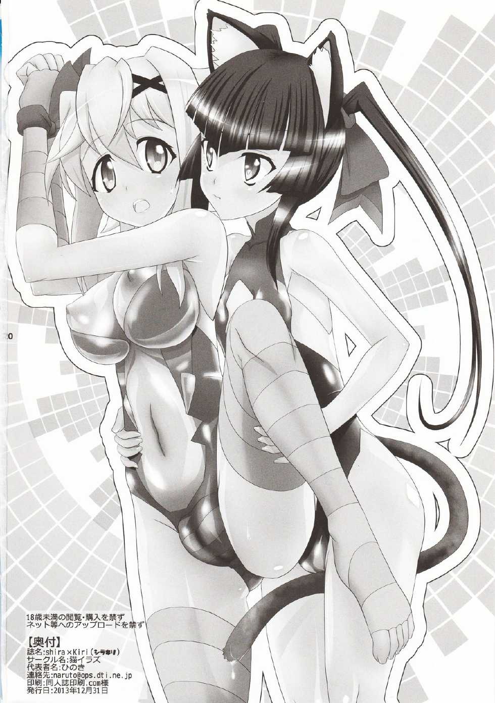 (C85) [Neko Irazu (Hinoki)] Shira × Kiri (Senki Zesshou Symphogear) - Page 19