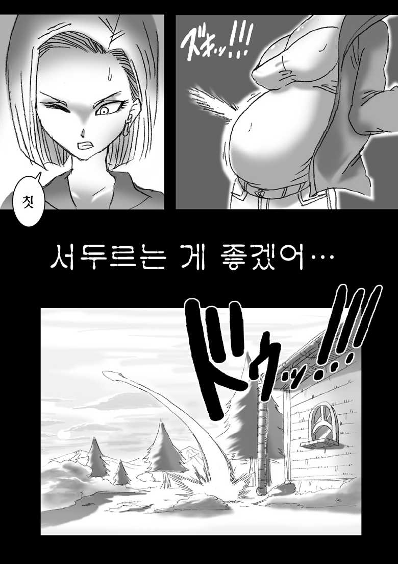 [Miracle Ponchi Matsuri (Basara)] DRAGON ROAD 3 (Dragon Ball Z) [Korean] [Team Pureabyss] - Page 17