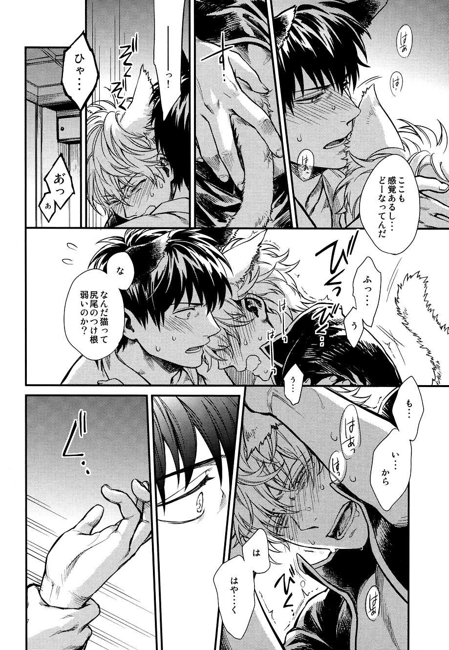 (HaruCC19) [3745HOUSE (MIkami Takeru)] Like cat and dog (Gintama) - Page 20