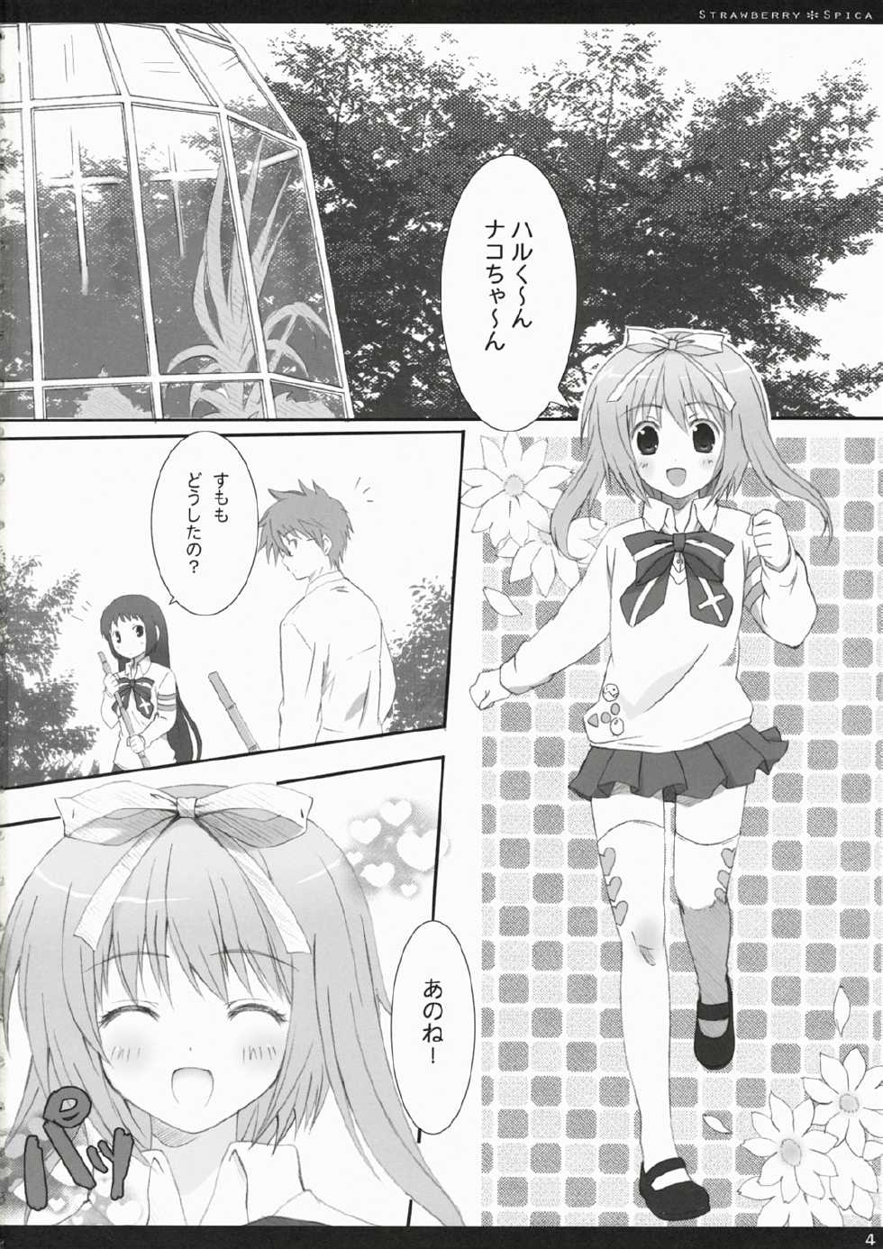 (C72) [Kinema Bambi (Misaka Shou)] Strawberry Spica (Nanatsuiro Drops) - Page 3