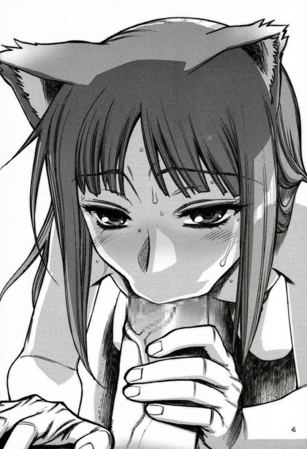 (COMIC1☆2) [Gerupin, KNOCKOUT (Minazuki Juuzou, USSO, Chuushin Kuranosuke)] Senjou no Ookami II (Spice and Wolf) [Korean] [LIMITE] - Page 3