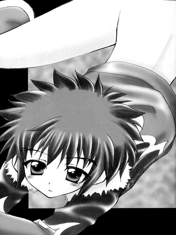 (C61) [Houkago Paradise (Sasorigatame)] Honey Cap (Digimon Adventure 02) [Portuguese-BR] {ShotaconInfinite} - Page 2