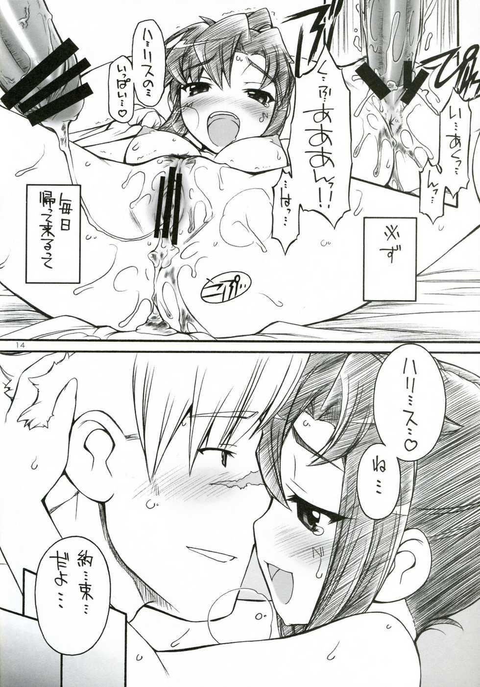 (C73) [Manitou (Nakajima Rei)] Destino de Abril 2 tipeR (Gurren-Lagann, Xenosaga) - Page 13