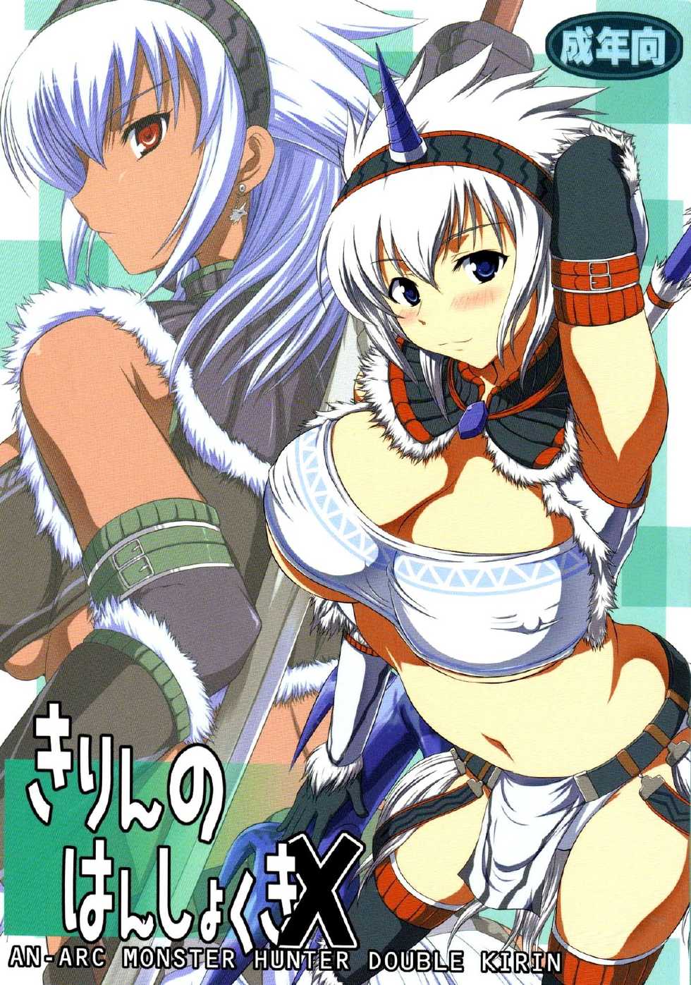 (C76) [An-Arc (Hamo)] Kirin no Hanshokuki X (Monster Hunter) [German] {schmidtsst} - Page 1
