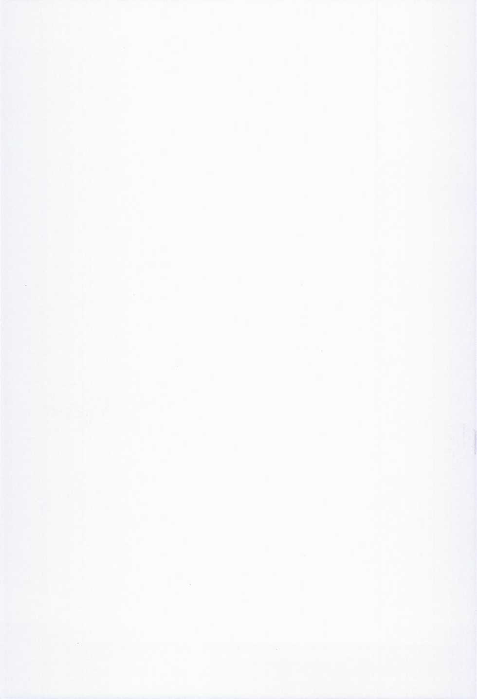 (C86) [Molotov Cocktail (Oowada Tomari)] Blade Blade VI (Queen's Blade) - Page 35