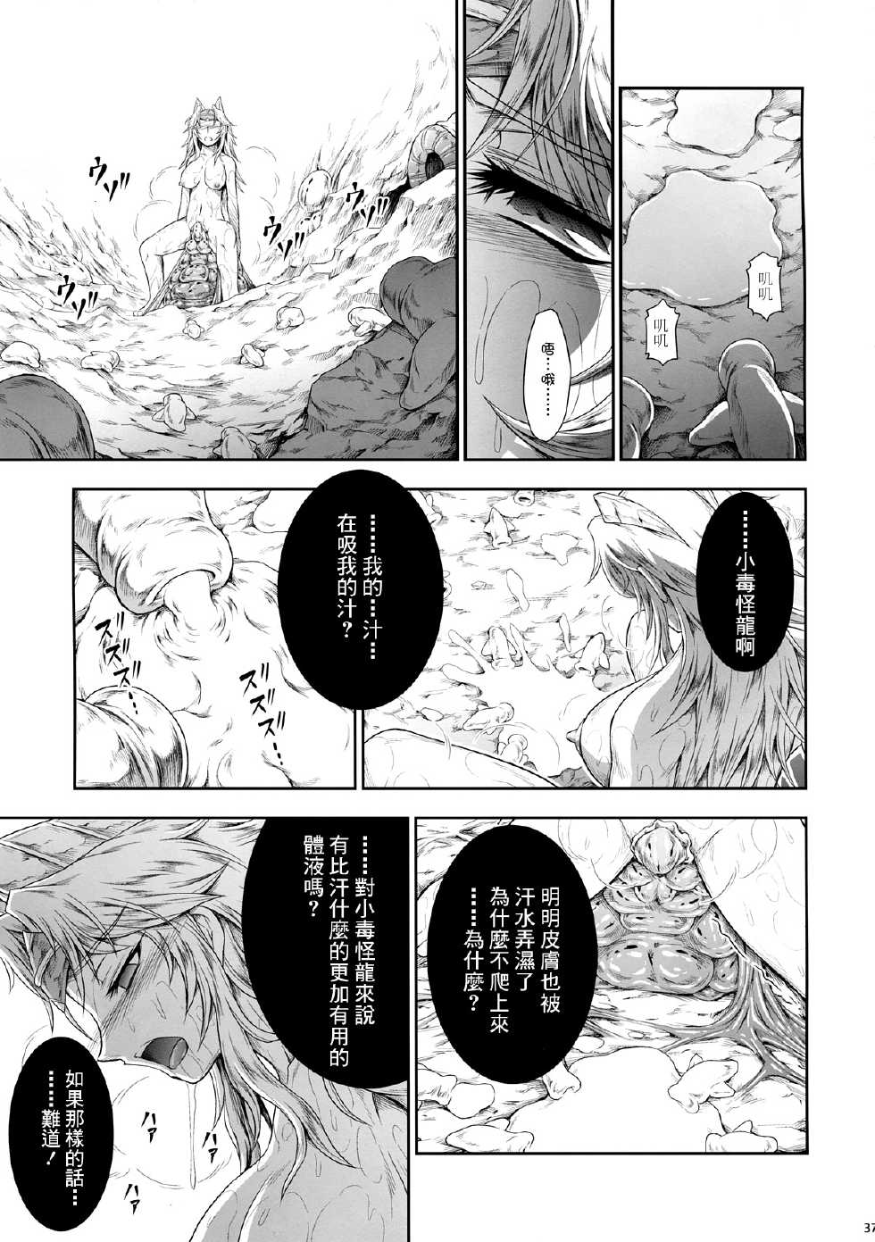 (C86) [Yokohama Junky (Makari Tohru)] Solo Hunter no Seitai 4 The third part (Monster Hunter) [Chinese] [无毒汉化组x屏幕脏了汉化组] - Page 38
