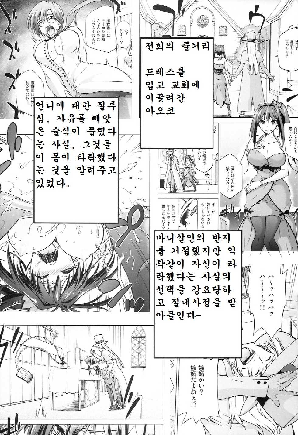 (C86) [Jyouren Kishidan (Kiasa)] Aoko BLUE5 Kouhen (Mahou Tsukai no Yoru) [Korean] - Page 4