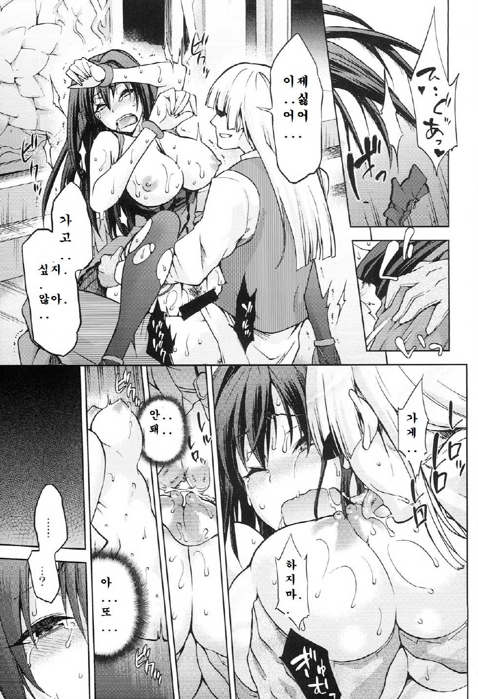 (C86) [Jyouren Kishidan (Kiasa)] Aoko BLUE5 Kouhen (Mahou Tsukai no Yoru) [Korean] - Page 17