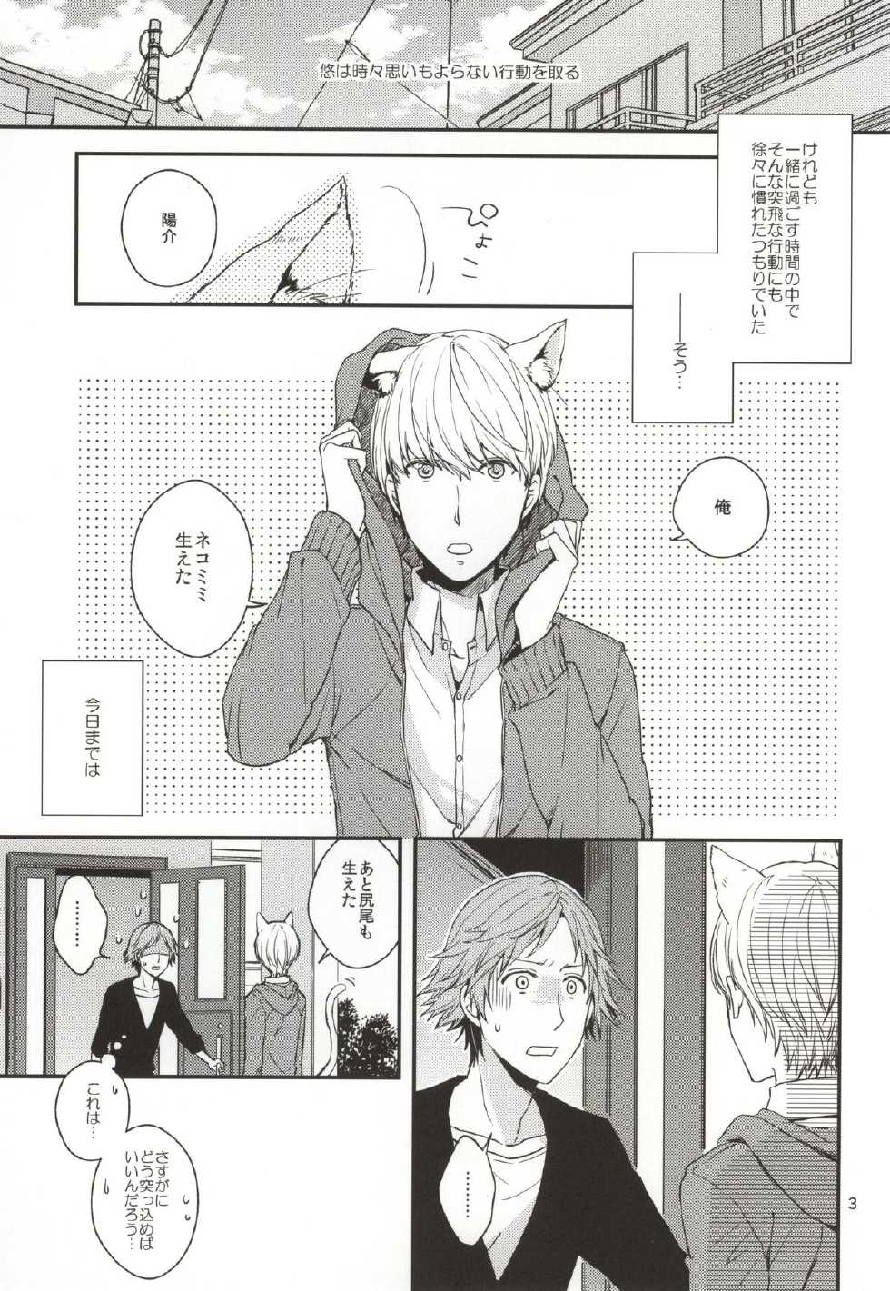 (C83) [Swallow Sky (Rihara)] CRAZY CAT LOVER (Persona 4) - Page 2