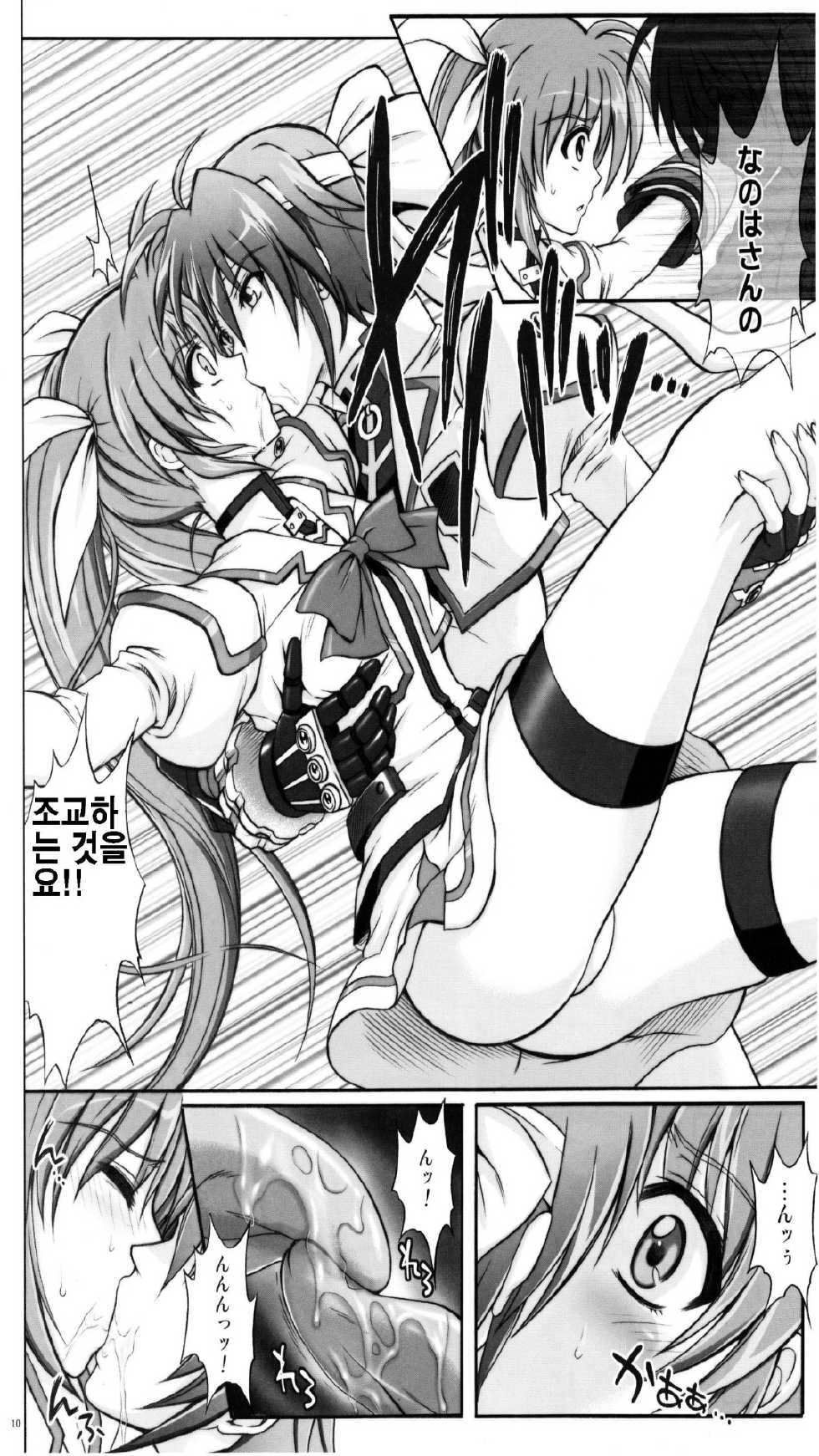 (C77) [Cyclone (Izumi, Reizei)] 767A (Mahou Shoujo Lyrical Nanoha) [Korean] - Page 10
