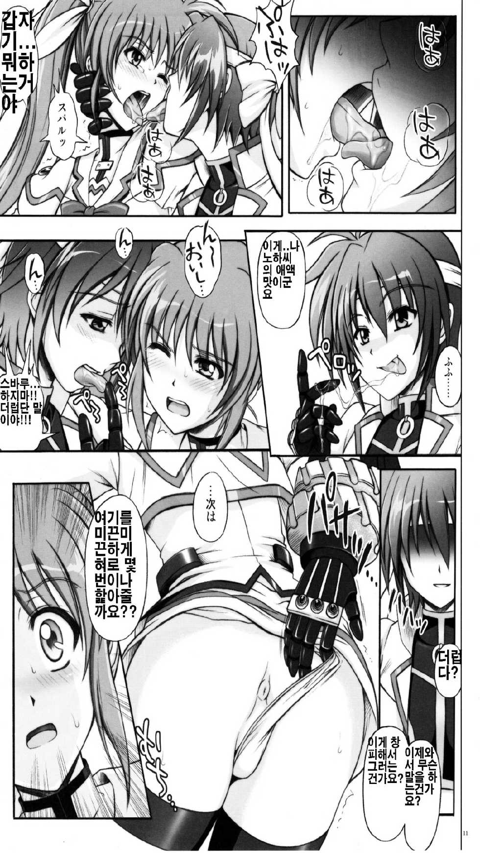 (C77) [Cyclone (Izumi, Reizei)] 767A (Mahou Shoujo Lyrical Nanoha) [Korean] - Page 11