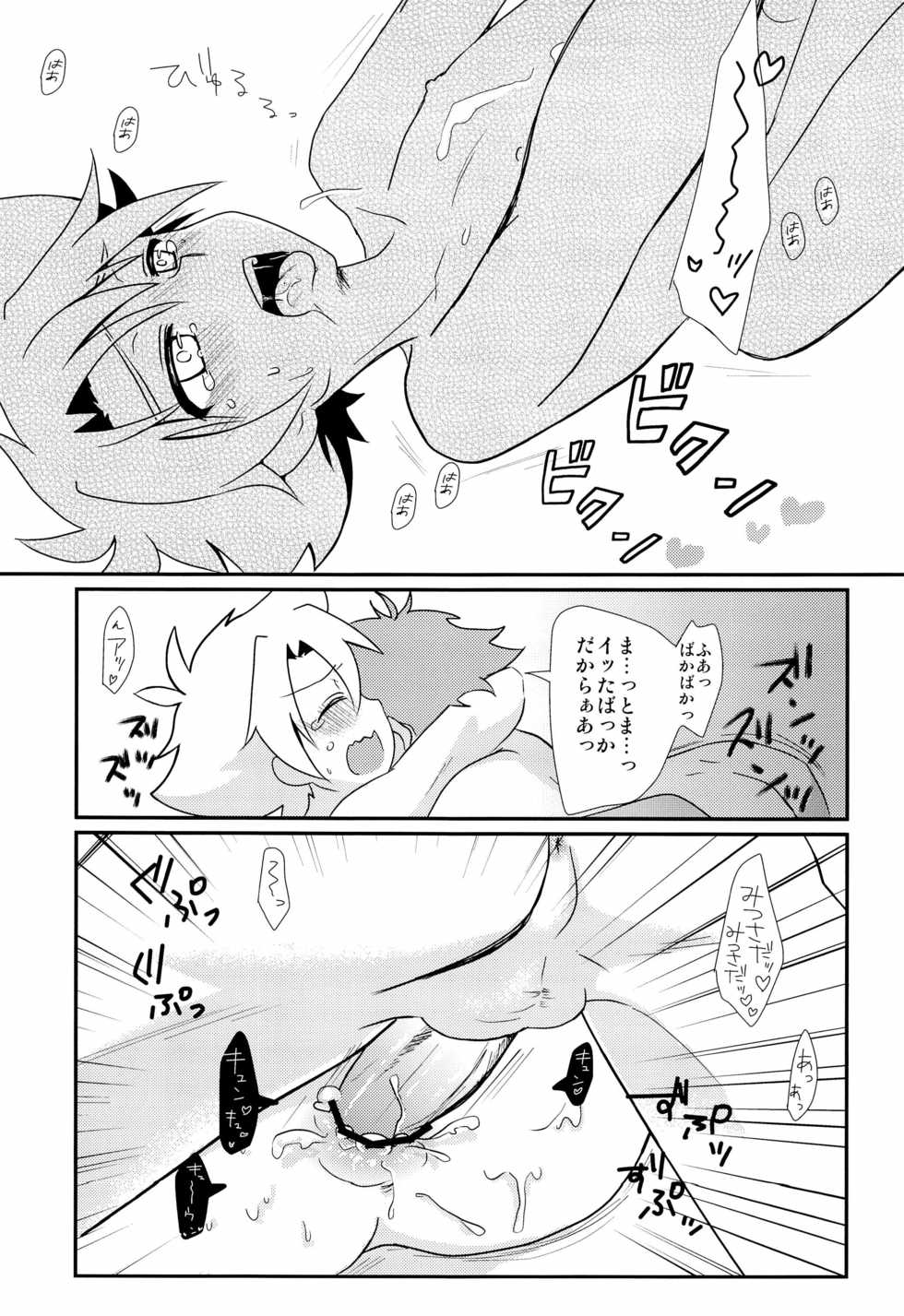 (Stand Up! 8) [gorico (Nakasawa)] MitsuMiwa Biyori (Cardfight!! Vanguard) - Page 19
