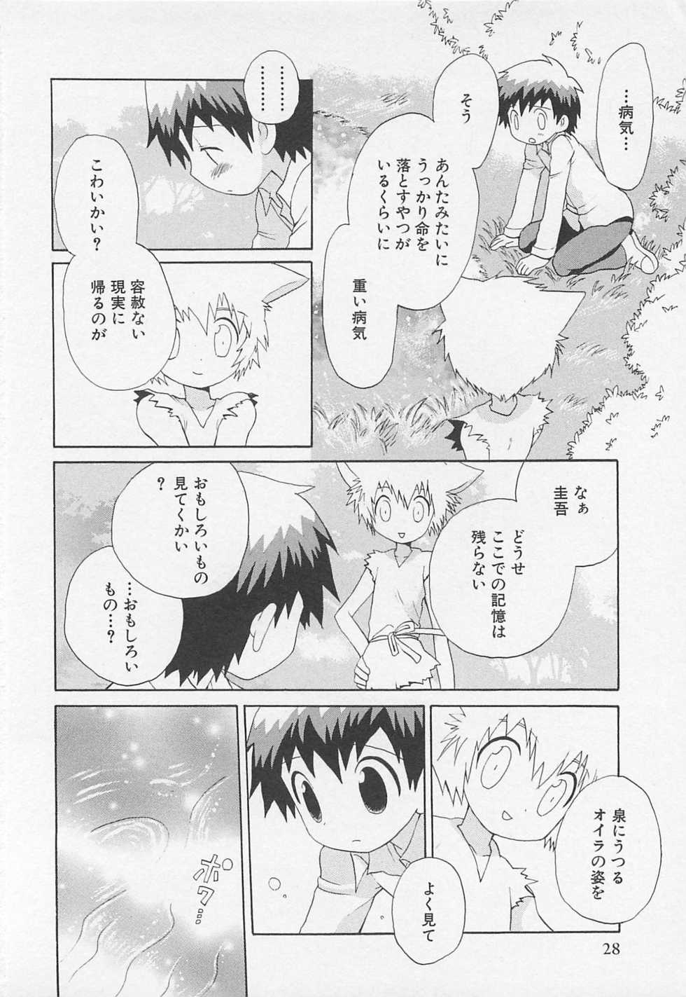 [Hoshiai Hilo] Shitsuren no Kuni - Page 31