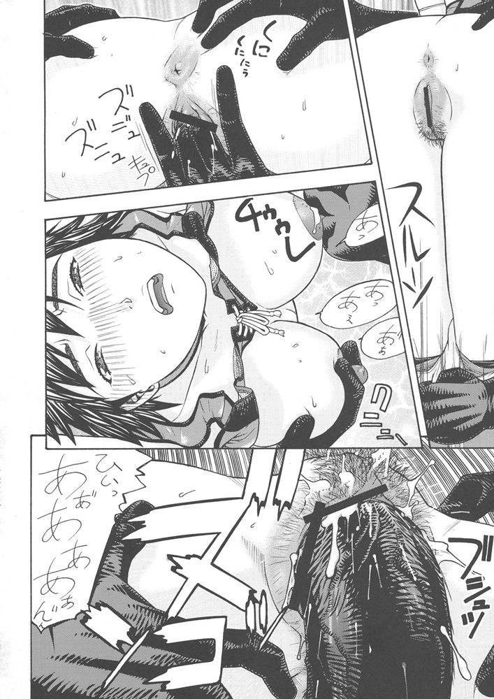 (C68) [From Japan (Aki Kyouma, Funato Hitoshi)] FIGHTERS GIGAMIX FGM Vol.24 (Rumble Roses) - Page 17