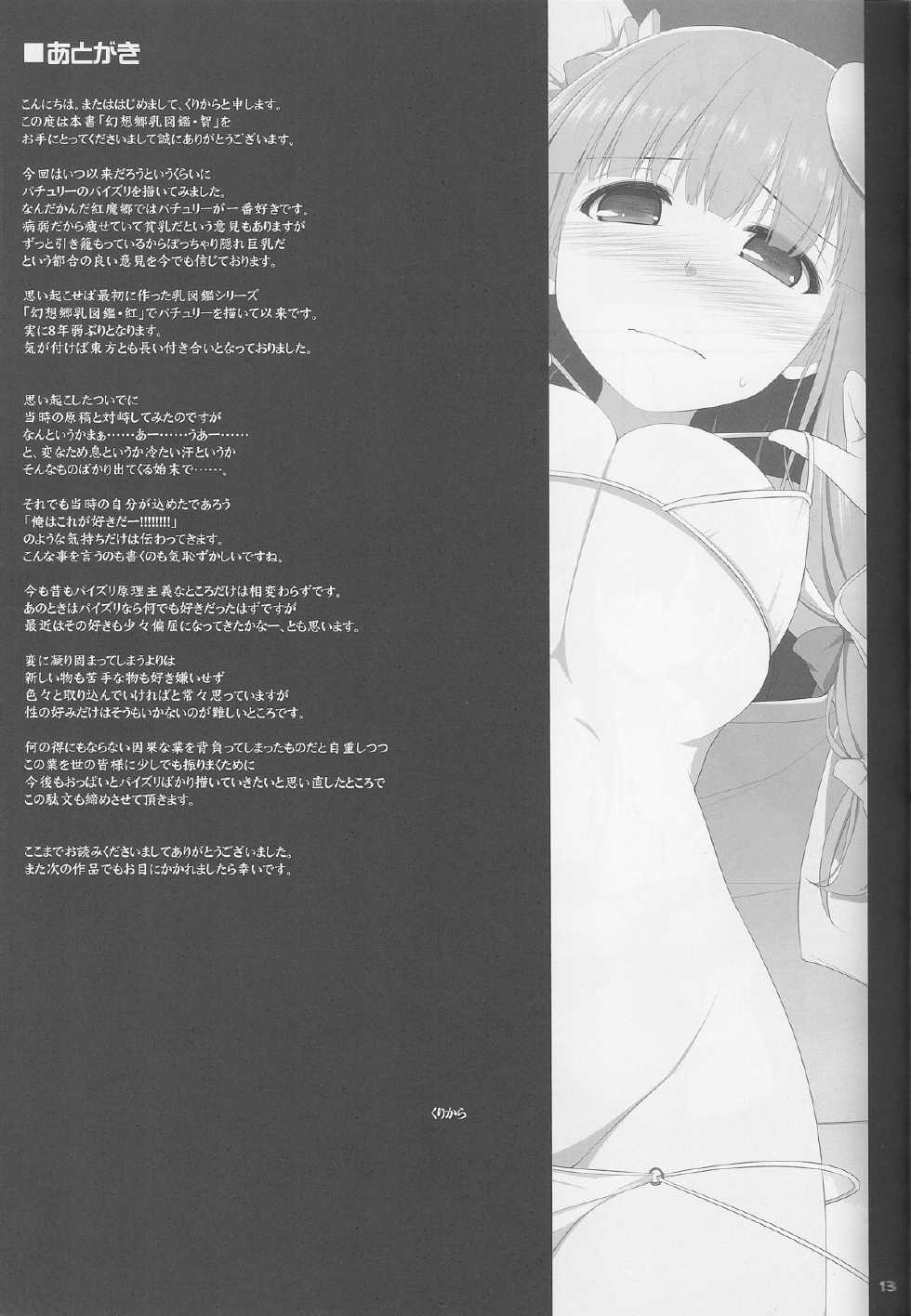 (Reitaisai 11) [TOYBOX, Kujira Logic (Kurikara, Kujiran)] Gensoukyou Chichi Zukan - Chi (Touhou Project) - Page 12