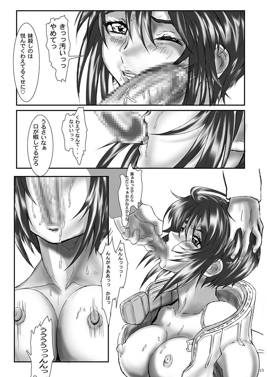 [Gthtrn] DISHIRO (Mobile Suit Gundam SEED Destiny) [Digital] - Page 12