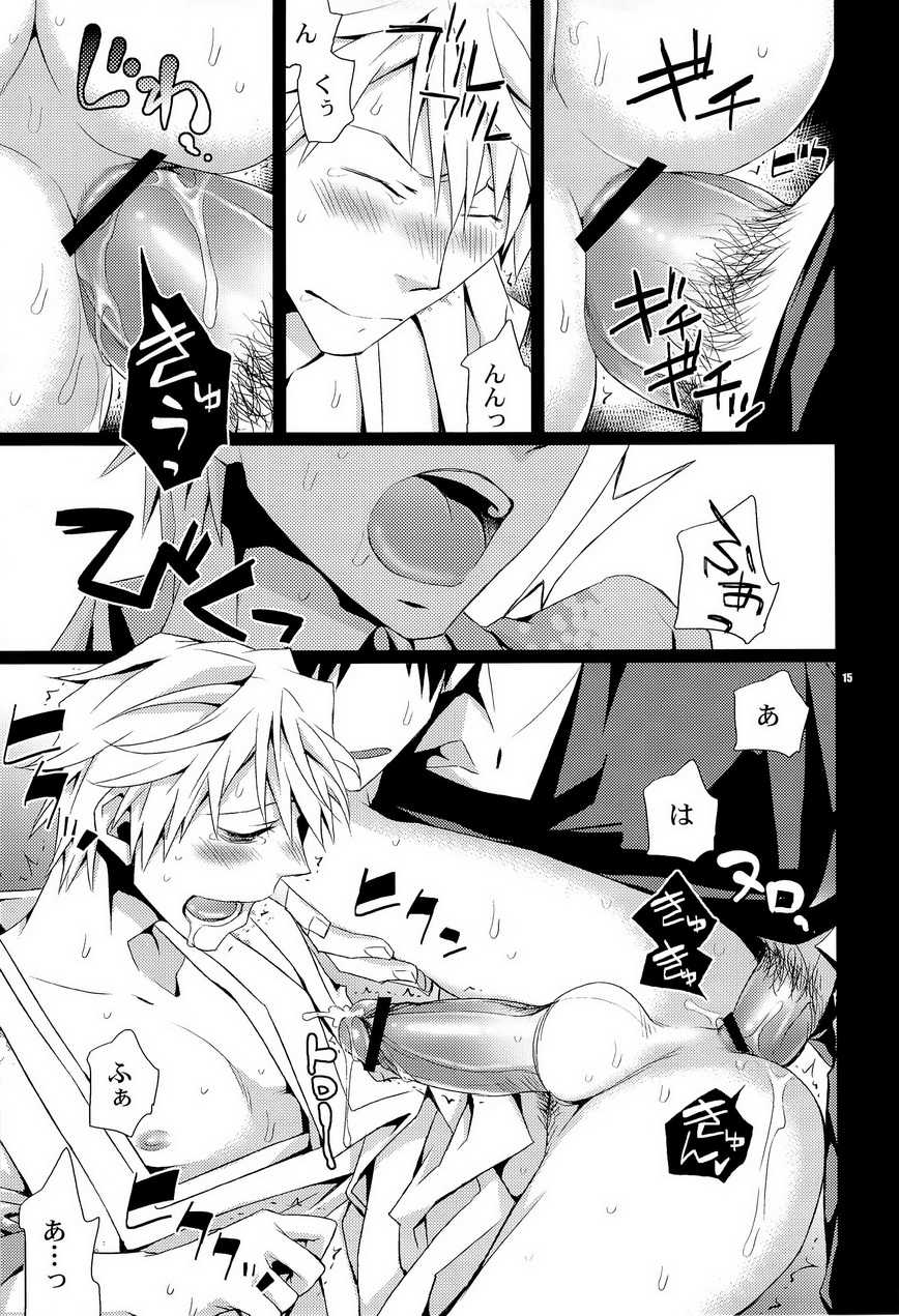 (C78) [Crazy9 (Ichitaka)] SEXAROID (Durarara!!) - Page 15