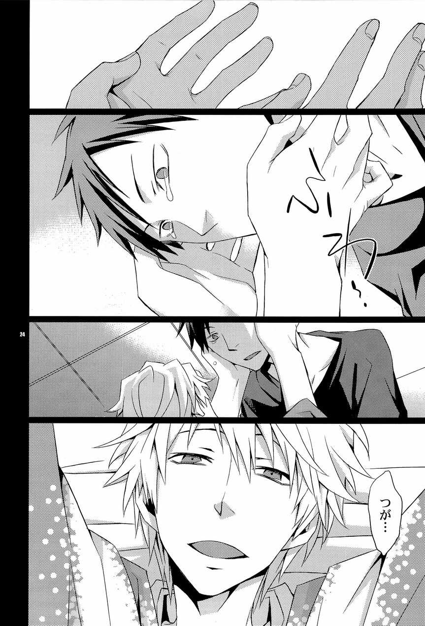 (C78) [Crazy9 (Ichitaka)] SEXAROID (Durarara!!) - Page 24
