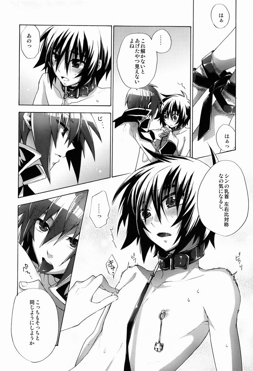 [sachi-machi (Shiina Ayumi)] Give and Give (Gundam Seed Destiny) - Page 11