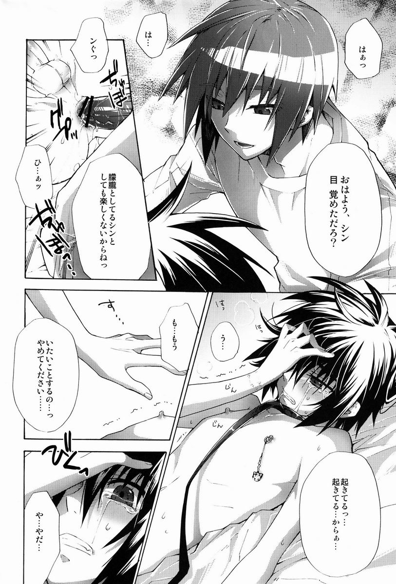 [sachi-machi (Shiina Ayumi)] Give and Give (Gundam Seed Destiny) - Page 21