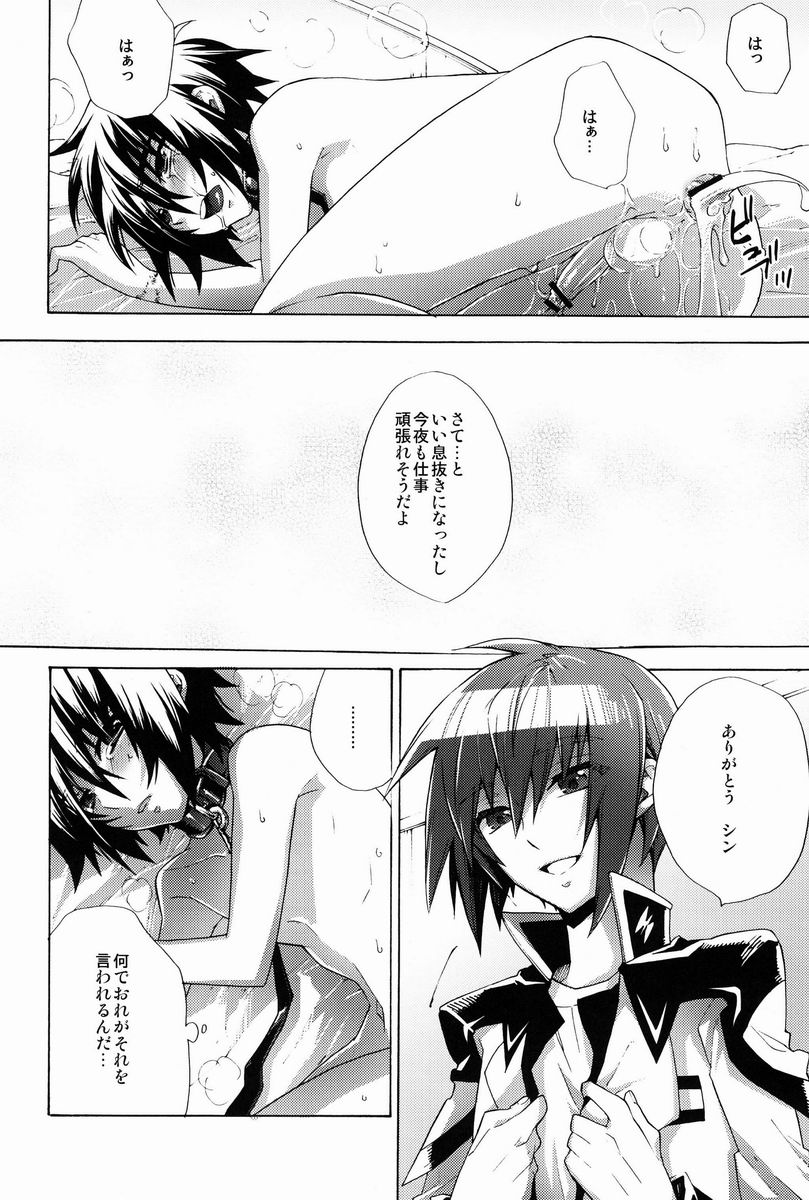 [sachi-machi (Shiina Ayumi)] Give and Give (Gundam Seed Destiny) - Page 25