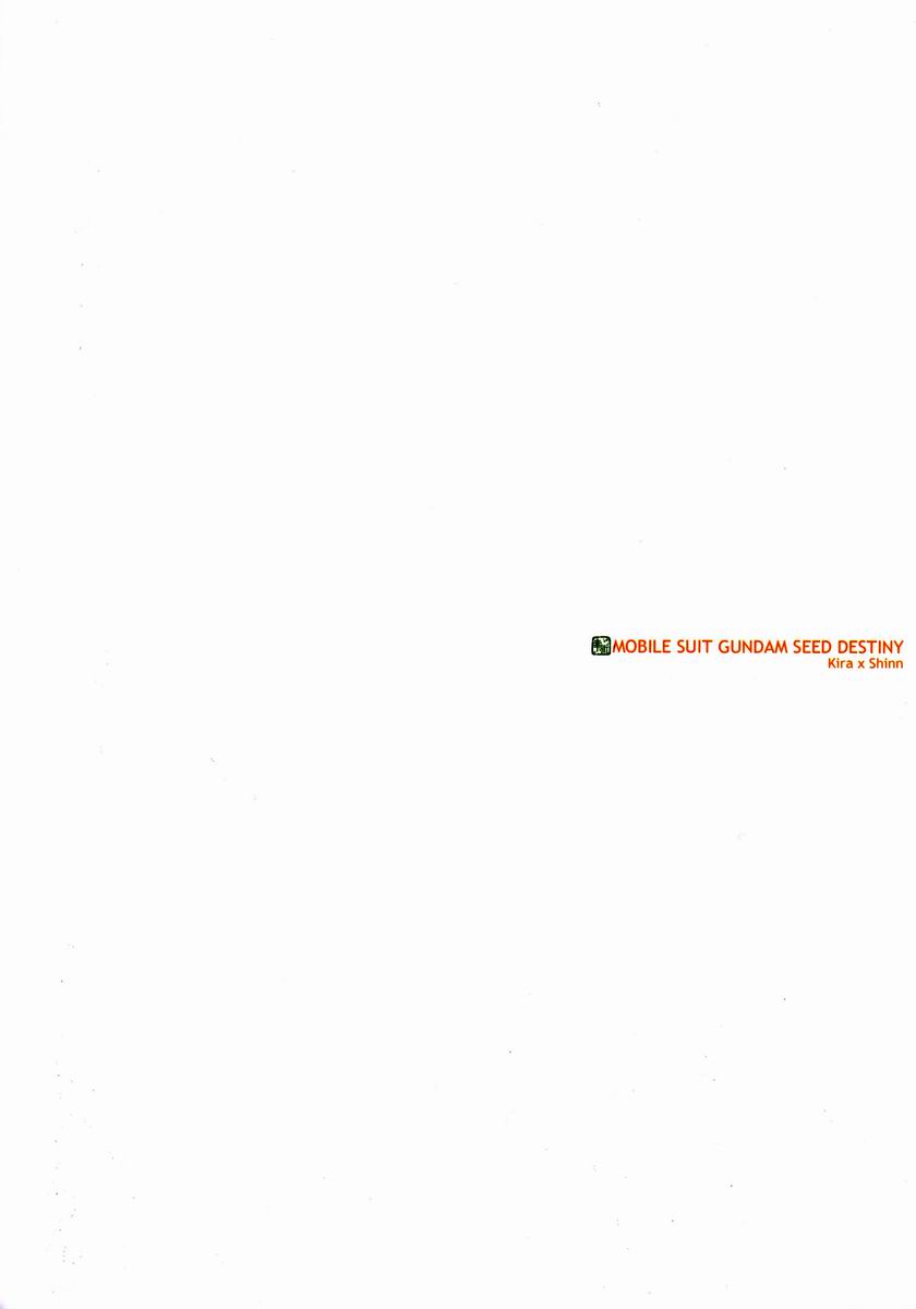 [sachi-machi (Shiina Ayumi)] Give and Give (Gundam Seed Destiny) - Page 30