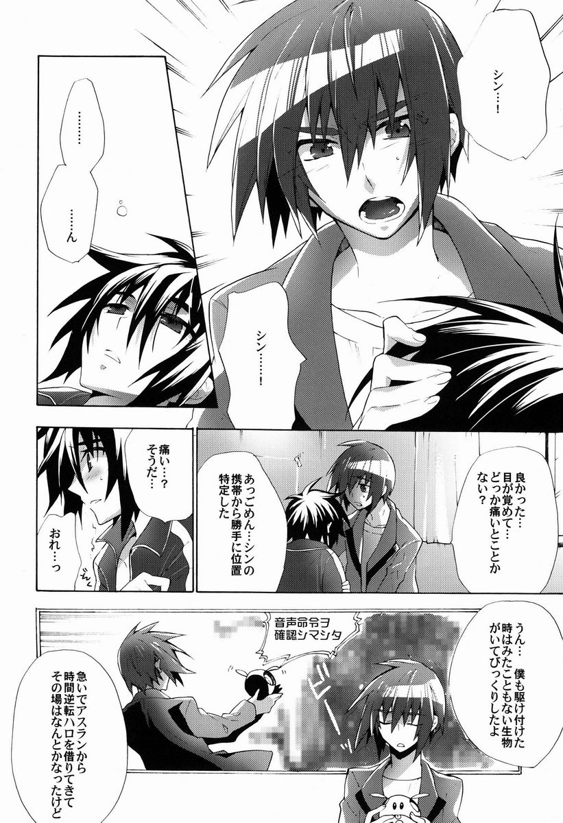 [sachi-machi (Shiina Ayumi)] Taihen Yoku Dekimashita (Gundam Seed Destiny) - Page 15