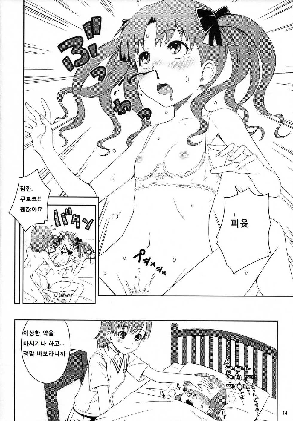 (C77) [Medical Berry (ha-ru)] Lv.0 (Toaru Kagaku no Railgun) [Korean] [G and Y] - Page 13