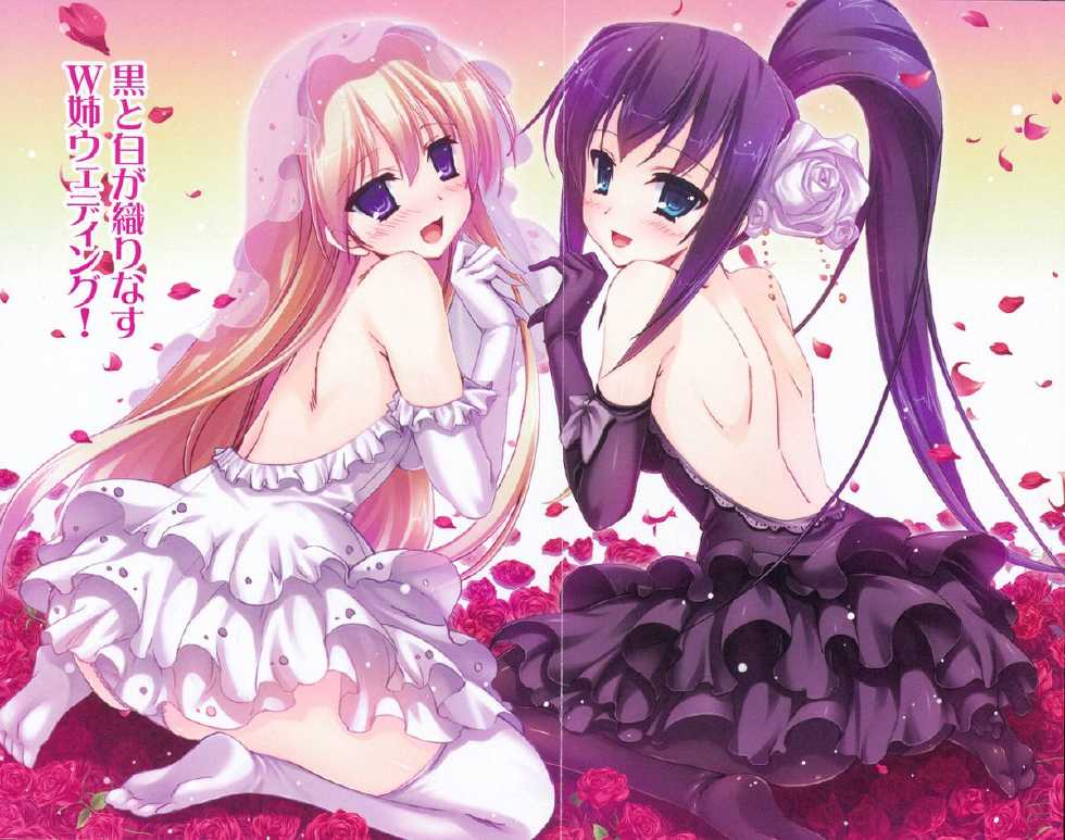 [Aohashi Yutaka, Misakura Nankotsu] Onee-chan ni wa Sakarae nai - Page 12