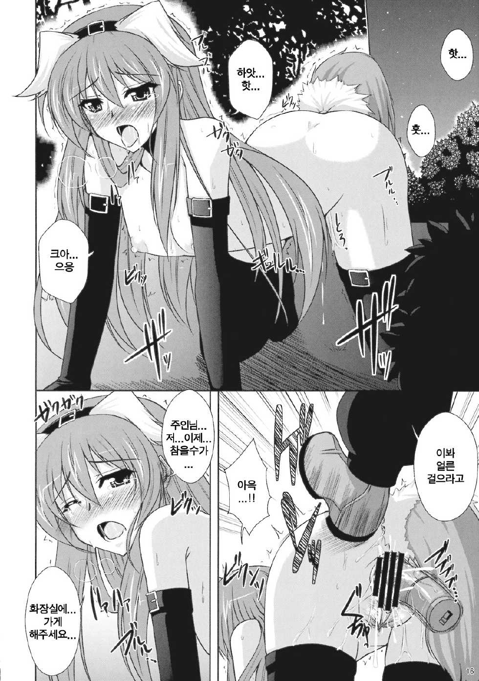 (Reitaisai 6) [Dokomademo Aoi Sora ni Ukabu Niku (Nikusoukyuu)] Mousou Te.n.ko mori!! (Touhou Project) [Korean] [LIMITE] - Page 16