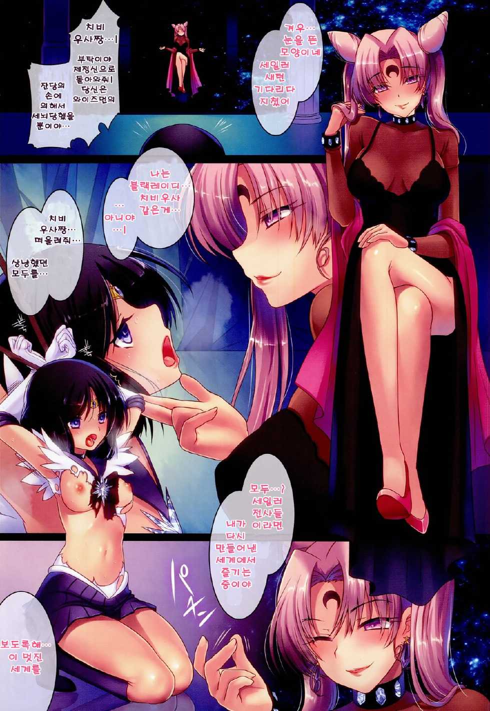 (C86) [slice slime (108 Gou)] Dosei Rouraku (Bishoujo Senshi Sailor Moon) [Korean] - Page 3