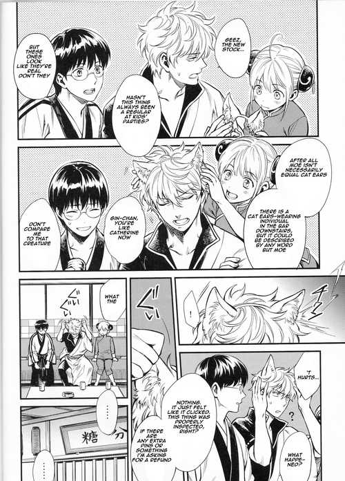 (HaruCC19) [3745HOUSE (MIkami Takeru)] Like cat and dog (Gintama) [English] - Page 5