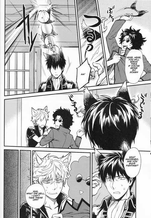(HaruCC19) [3745HOUSE (MIkami Takeru)] Like cat and dog (Gintama) [English] - Page 9