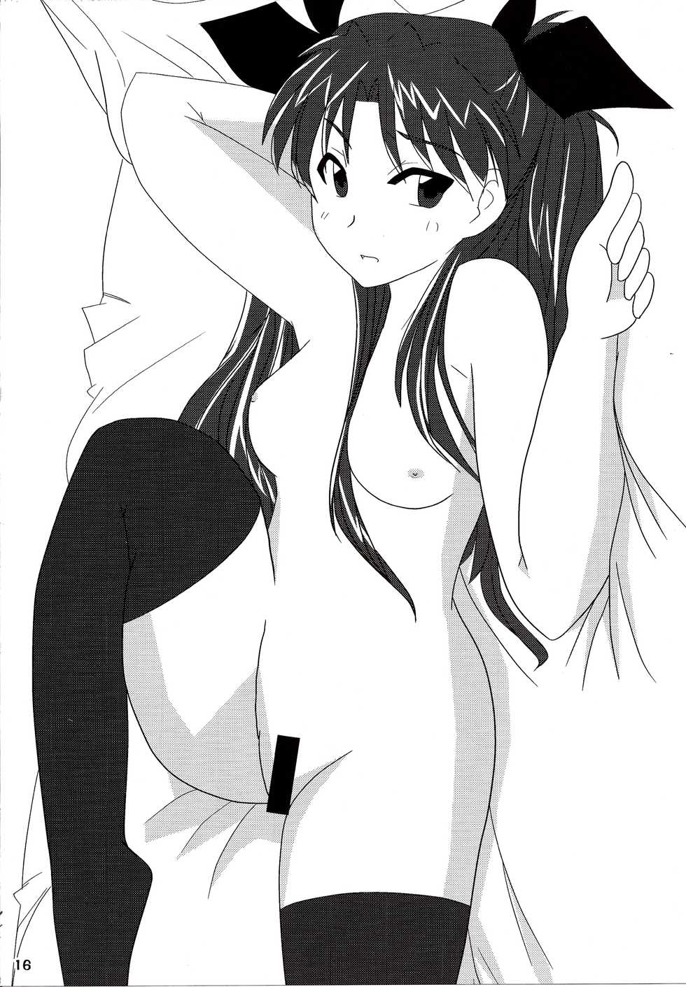 (C86) [PNO Group (Hase Yuu, Hikawa Yuuki, Yamamoto Ryuusuke)] Carni☆Phan tic factory 6 (Fate/stay night, Fate/Zero) - Page 16