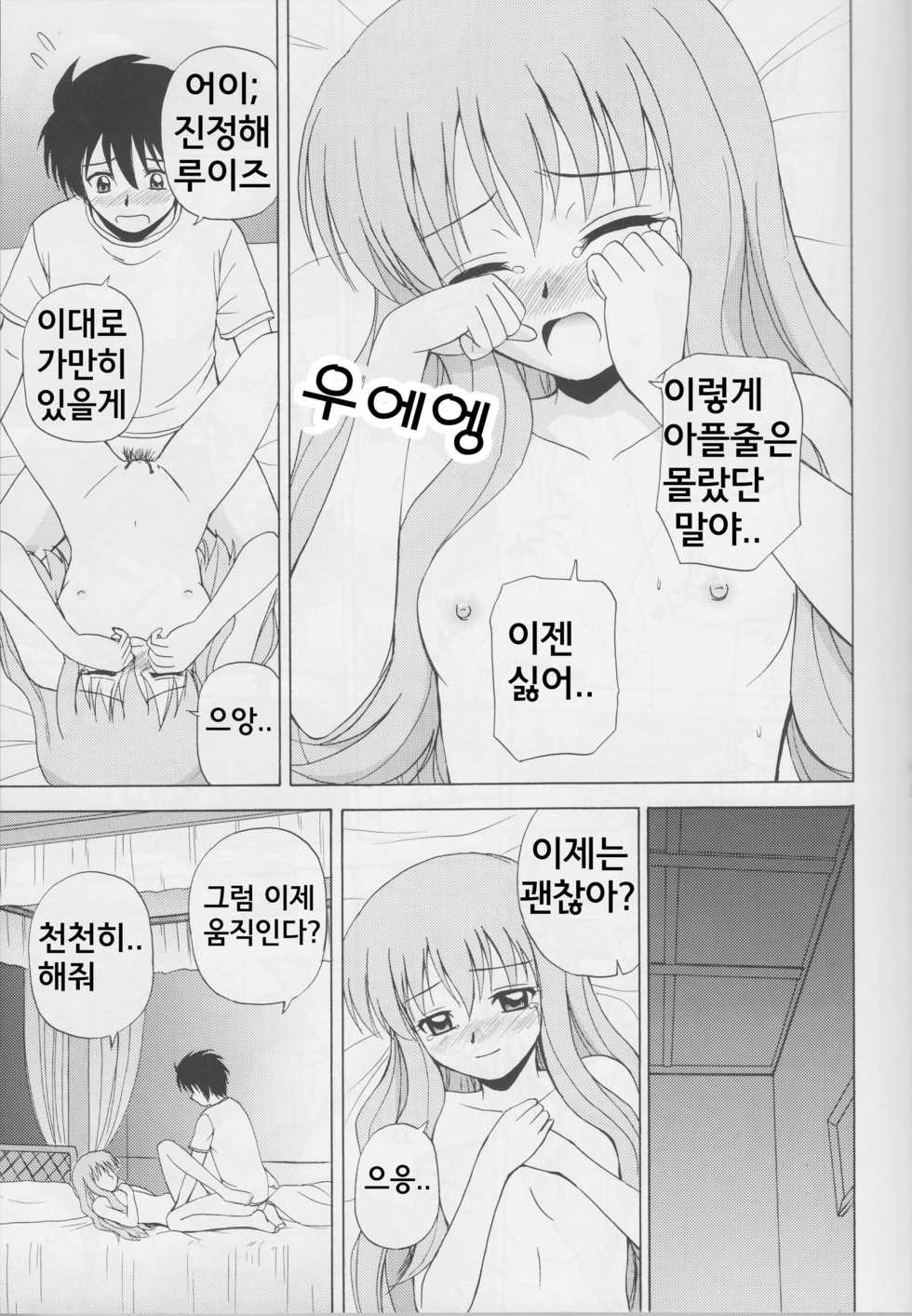 (C71) [G-Scan Corp. (Satou Chagashi)] Le Beau Maitre (Zero no Tsukaima) [Korean] [submail] - Page 14