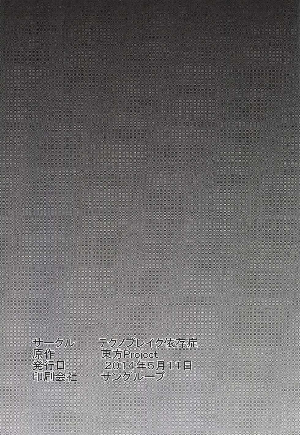 (Reitaisai 11) [Techno Break Izonshou (Techno)] Yuri Hametsu no Sono (Touhou Project) - Page 22