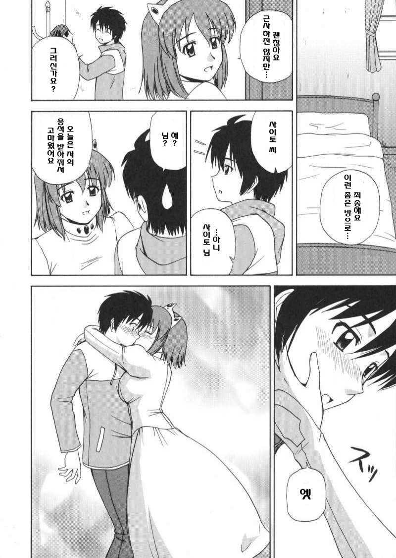 (C72) [G-Scan Corp. (Satou Chagashi)] Le beau maître 2 (Zero no Tsukaima) [Korean] - Page 11