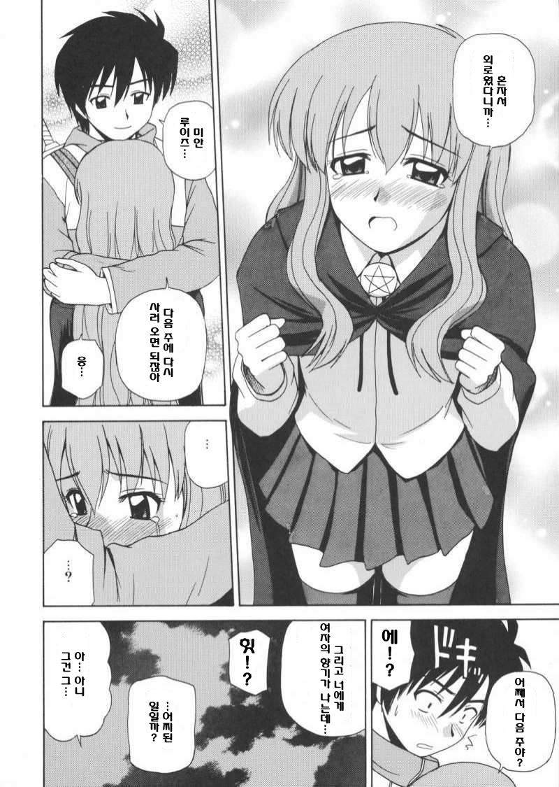(C72) [G-Scan Corp. (Satou Chagashi)] Le beau maître 2 (Zero no Tsukaima) [Korean] - Page 23